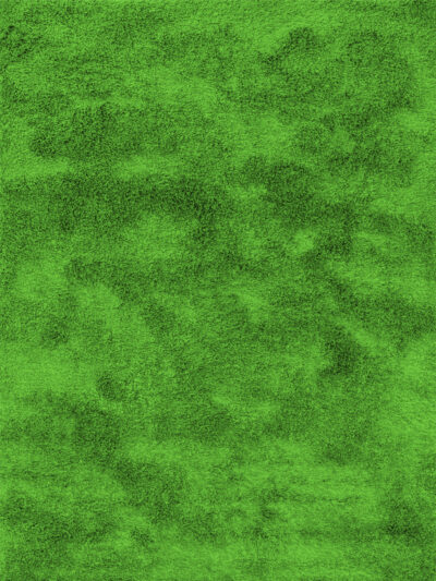 Green Pop