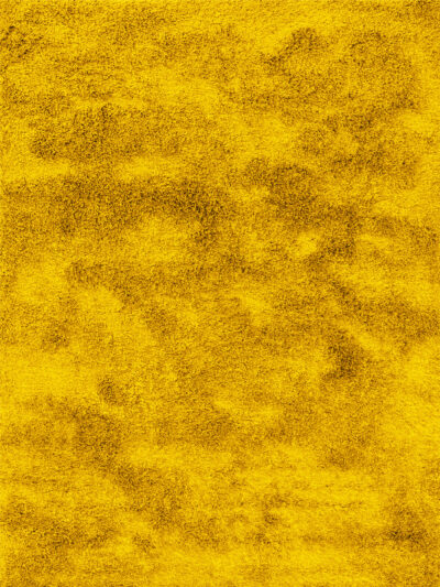 Solar Bloom