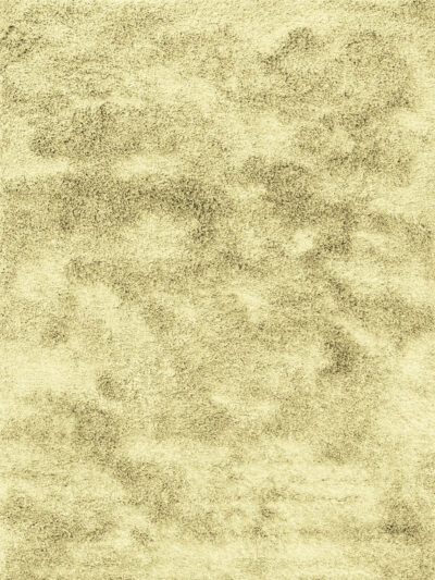 Sunlit Sand