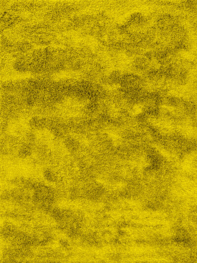 Yellow Mirage