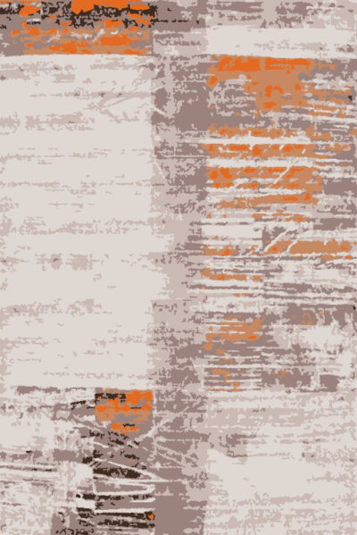 Rustic Modernity