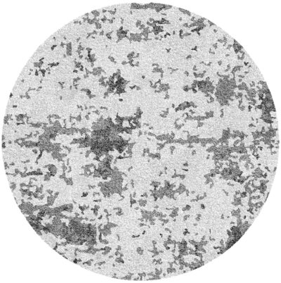 Whispering Grey