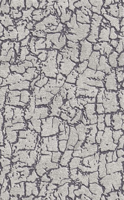 Crackle Charm