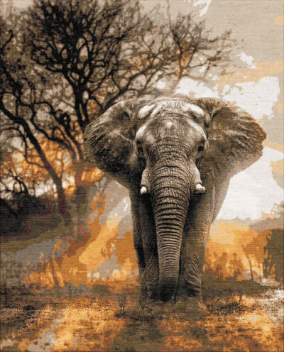 Elephant Ember