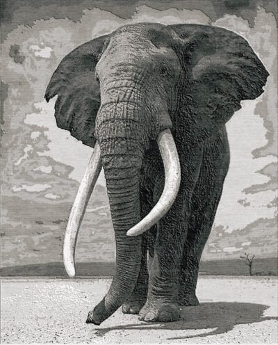 Giant Elephant