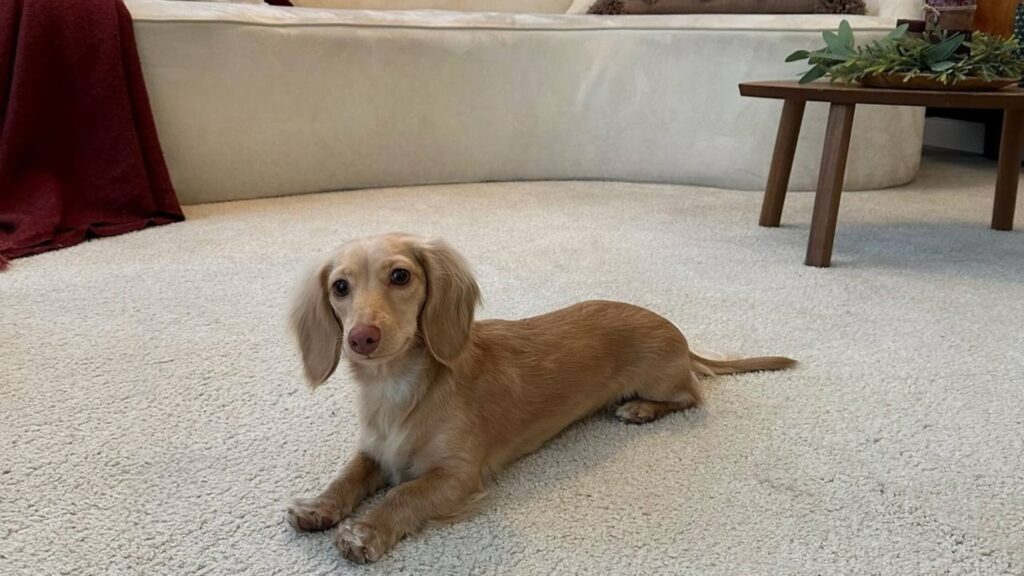 Softening the Edges of Life