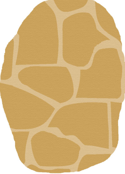 Ocherra
