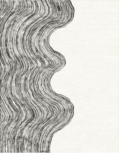 Echo Waves