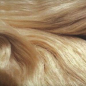 Material_ Silk Material_ Silk