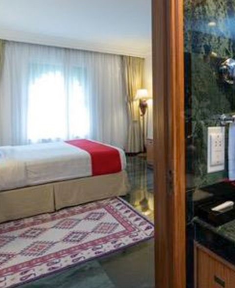 Trident-Udaipur-project